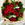 Floralty red roses wrapped in packaging