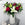 The Berry Rose