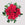 Fresh Roses Subscription (12 months)