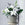 White Roselily Bouquet