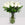 White roses displayed in a glass vase