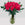 20 red roses from Floralty in a glass vase