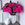 Big flower bouquet of Floralty hot pink roses in a white vase