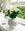 White roses bouquet in a sandstone vase