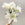 White Roselily Bouquet