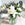 Floralty bouquet of white roses and roselily with limonium displayed in a glass vase.