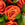 Zoomed image of Floralty orange roses bouquet with ruscus