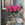 Big flower bouquet of pink fresh roses from Floralty flowers in a glass vase