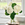 Big flower bouquet of white hydrangeas next to white kitchen sink