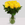 12 yellow roses from Floralty in a glass vase.