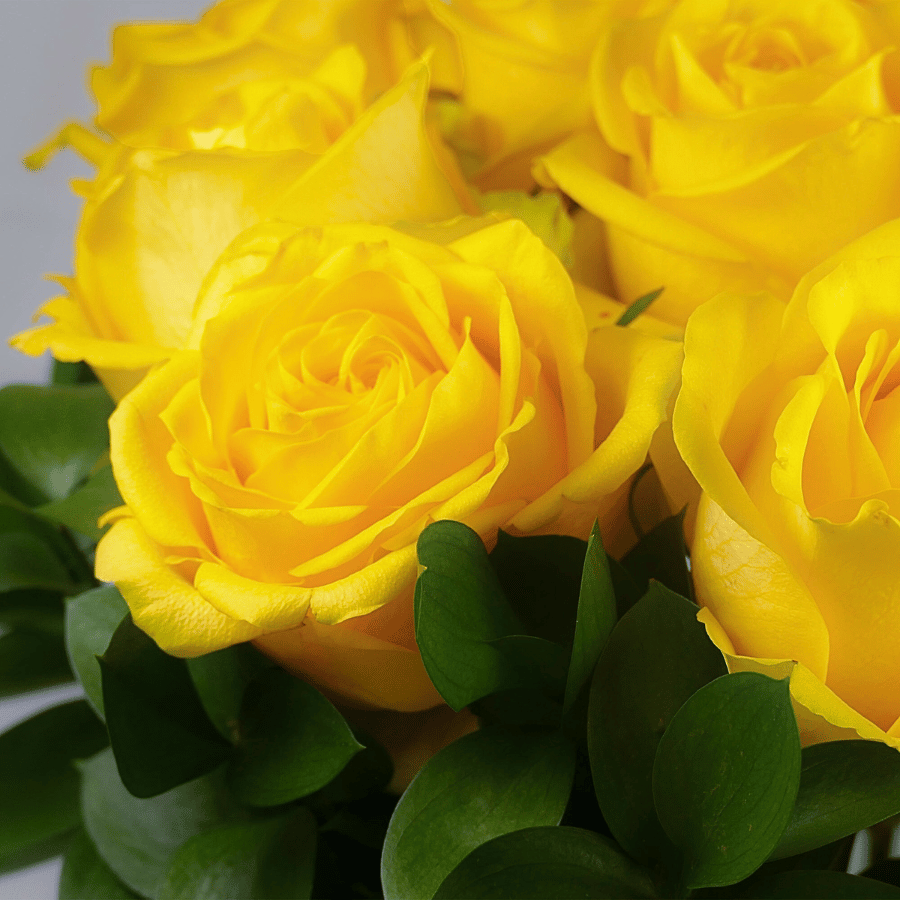 Buy Yellow Roses for delivery | Big Roses Bouquet – Floralty